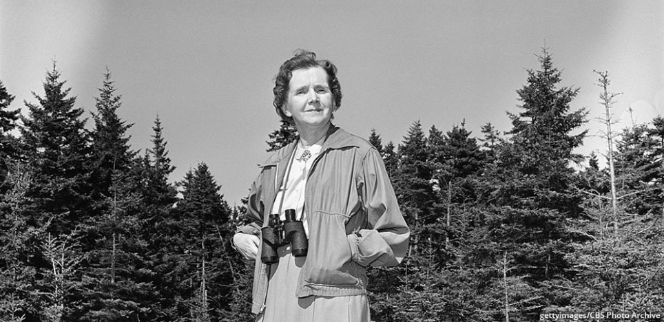 Profile: Rachel Carson, environmental trailblazer and excellent scientific communicator
