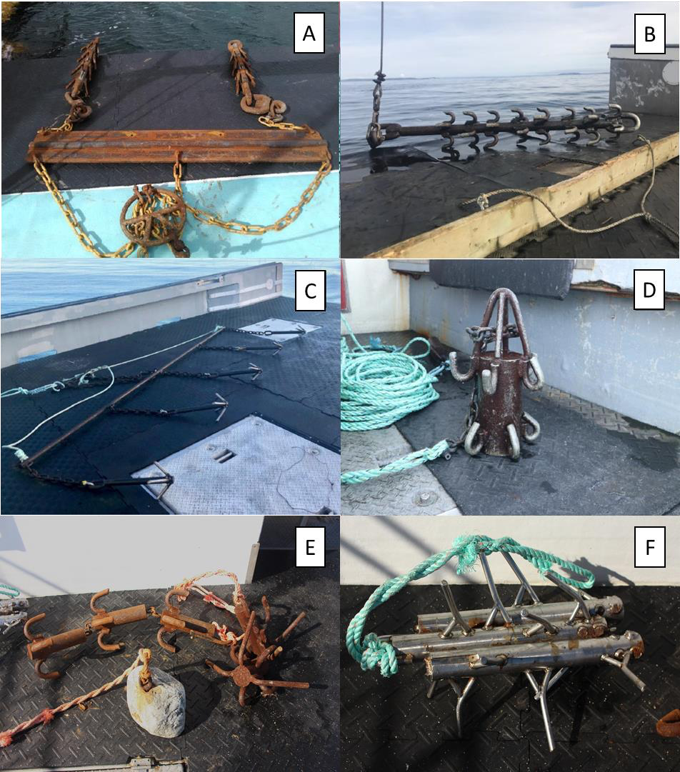 Research Highlight Grappling For A Better Future Through