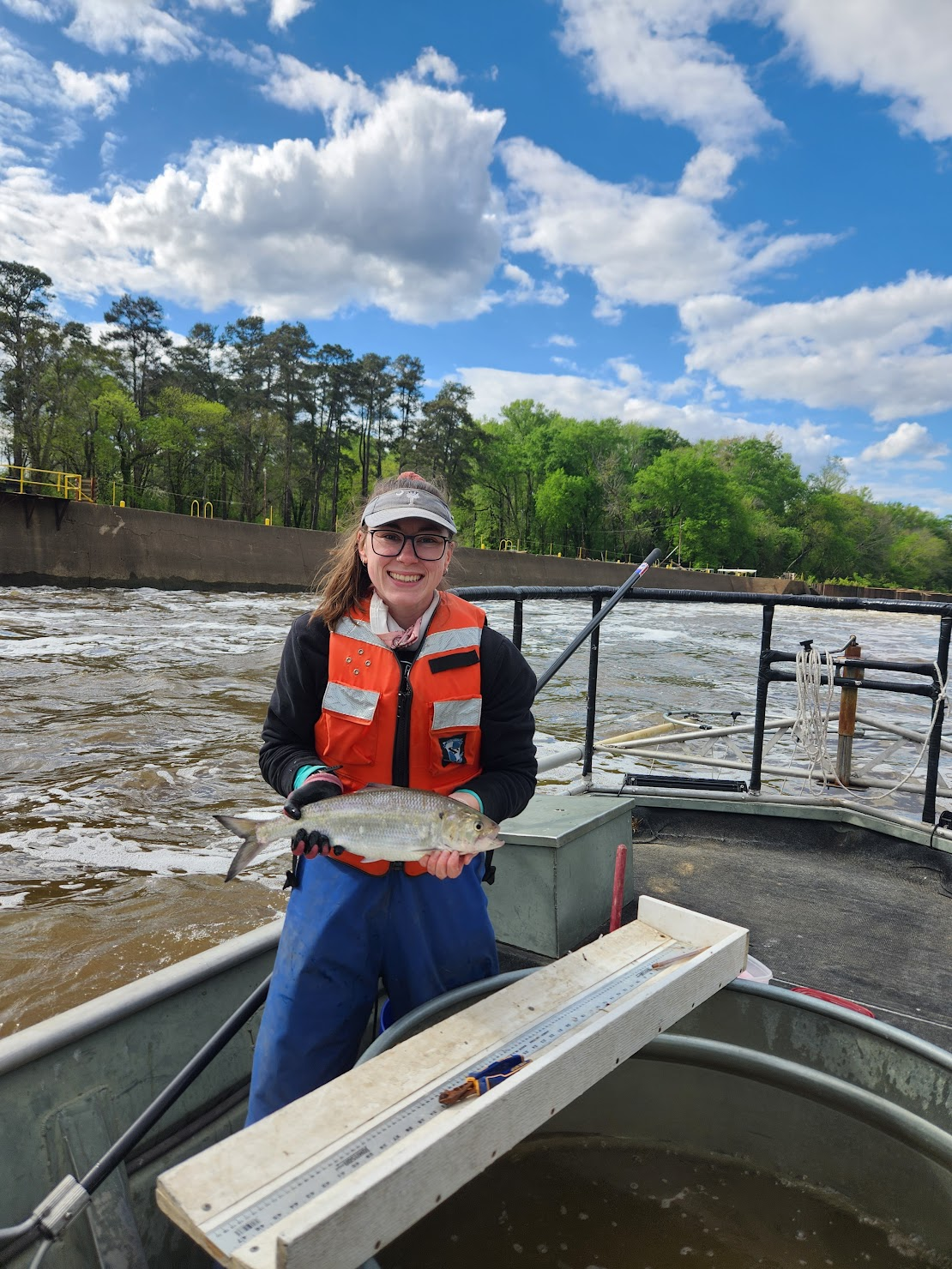 Fish Sister Profile: Maggie Gaither, from pre-vet to fish tracking and loving it!