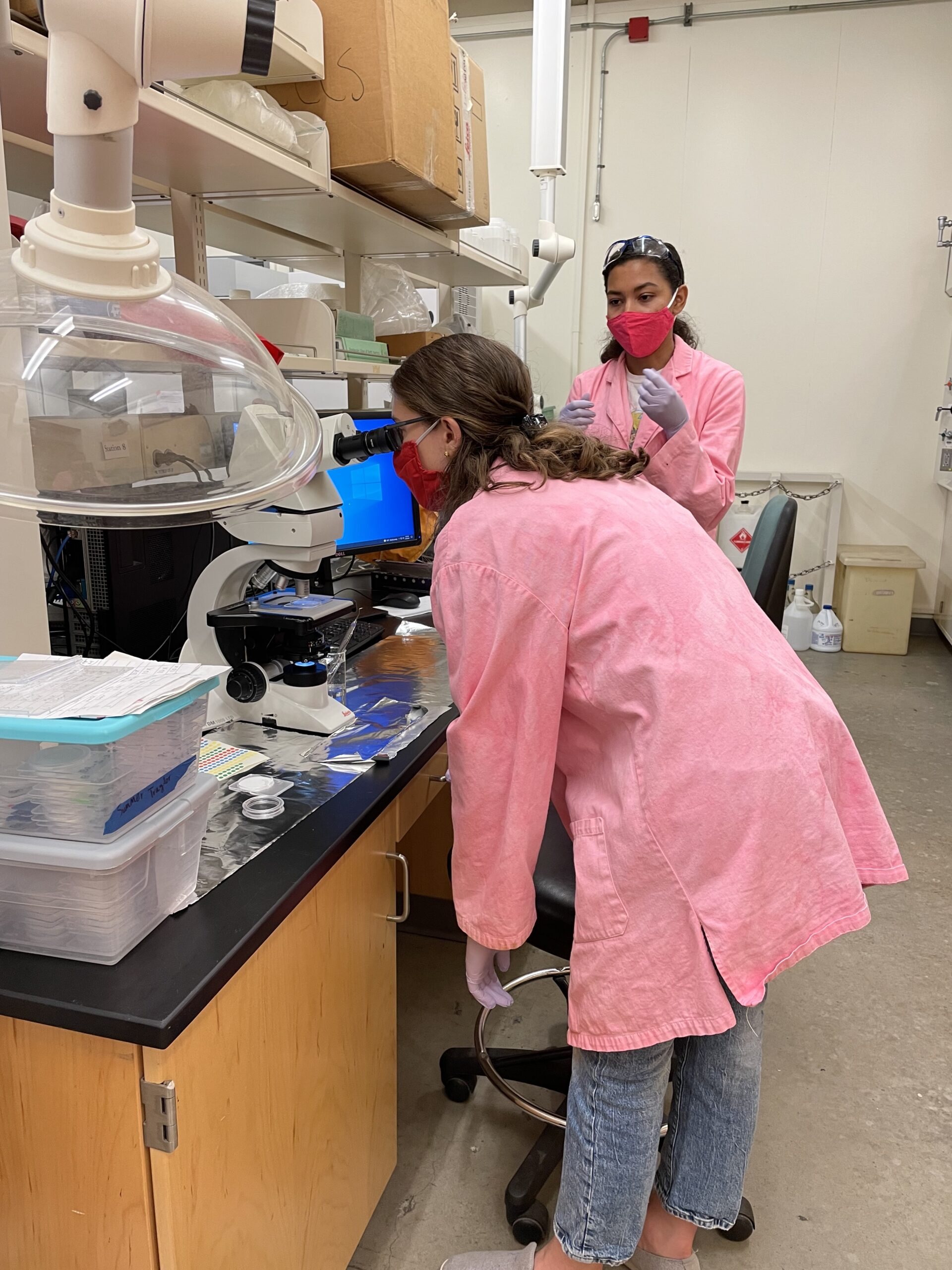 Research Highlight: Dinner with a Side of Plastic?