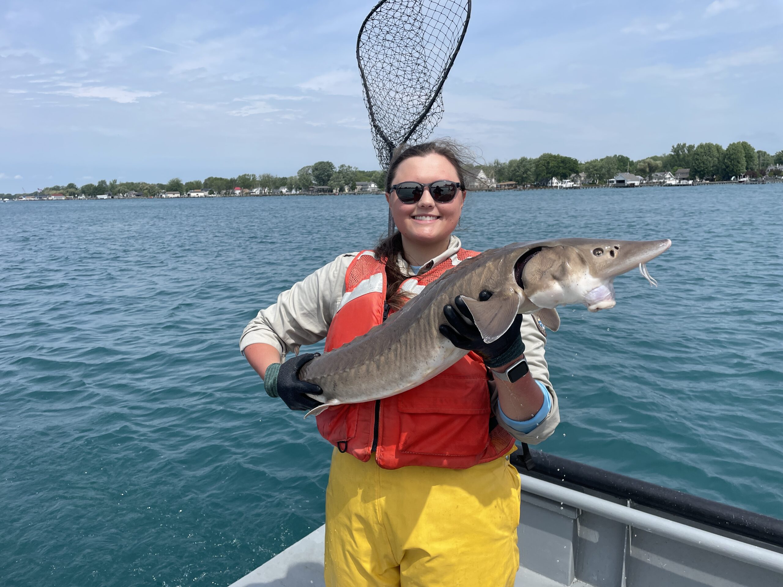 Profiles of Early Career Scientists – 2026 edition