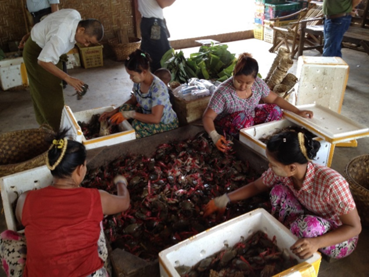 Women in the Seafood Industry: Searching for a Seat at the Table